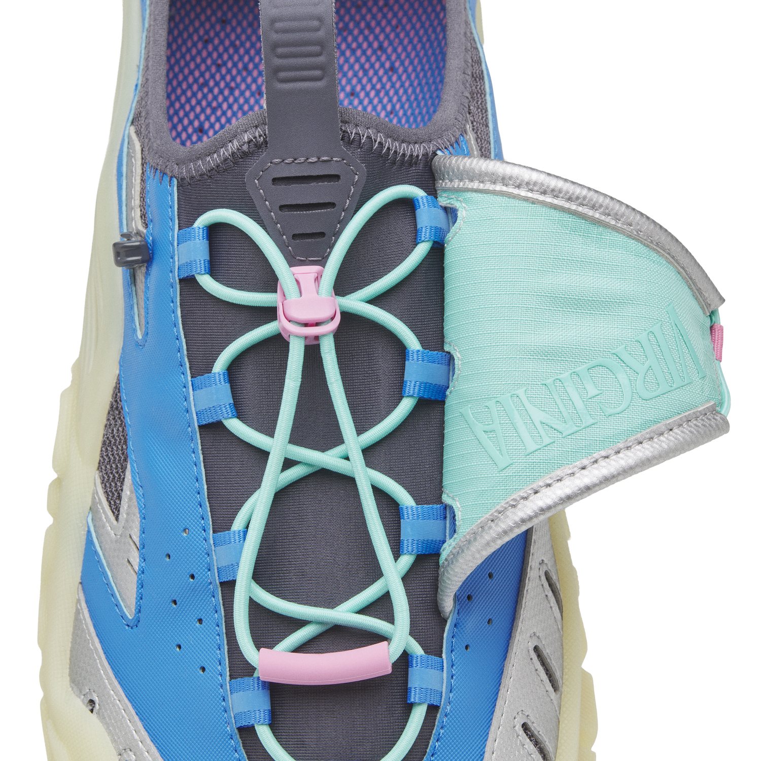 VIRGINIA BLUE STARFISH