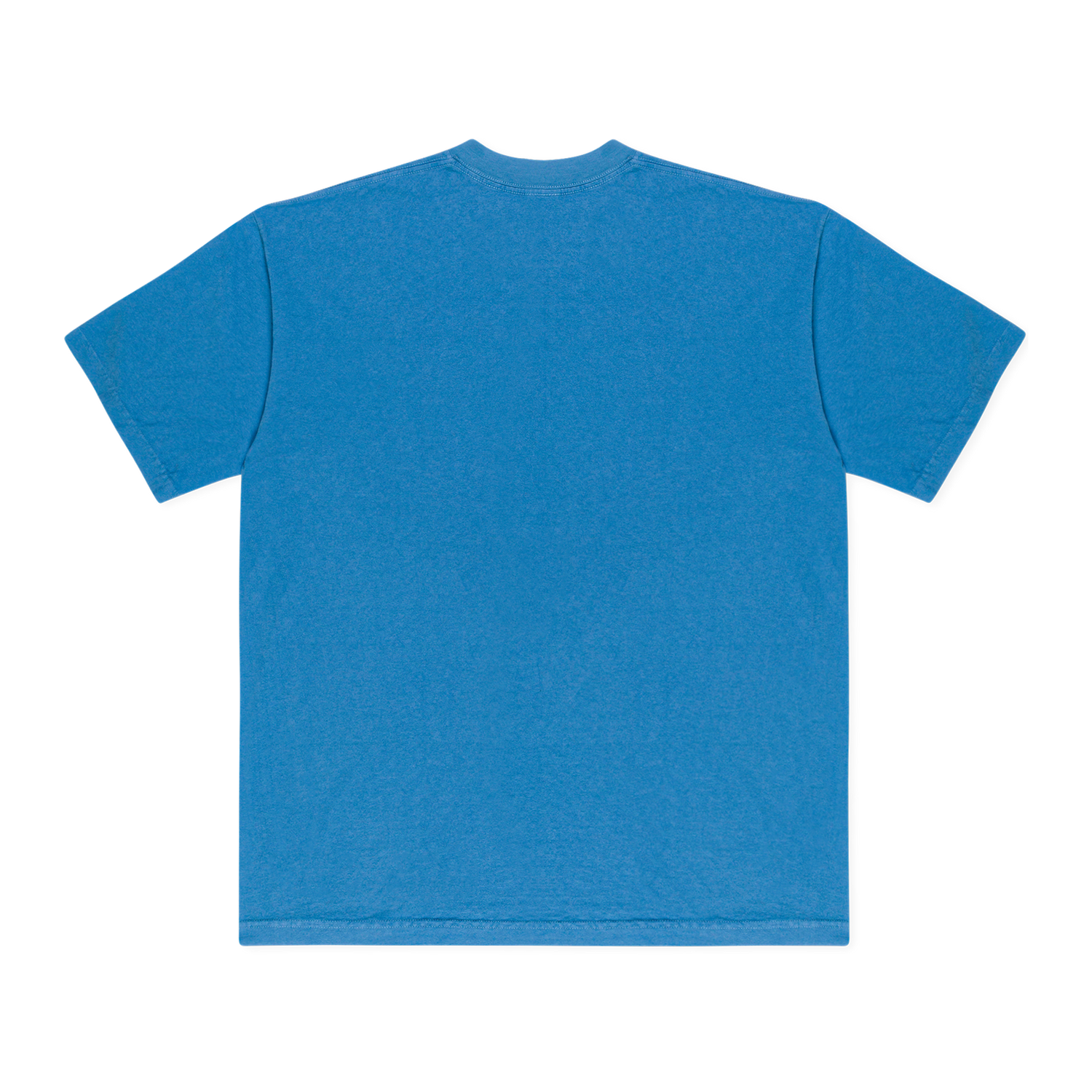 VIRGINIA BIRD TEE (BLUE)