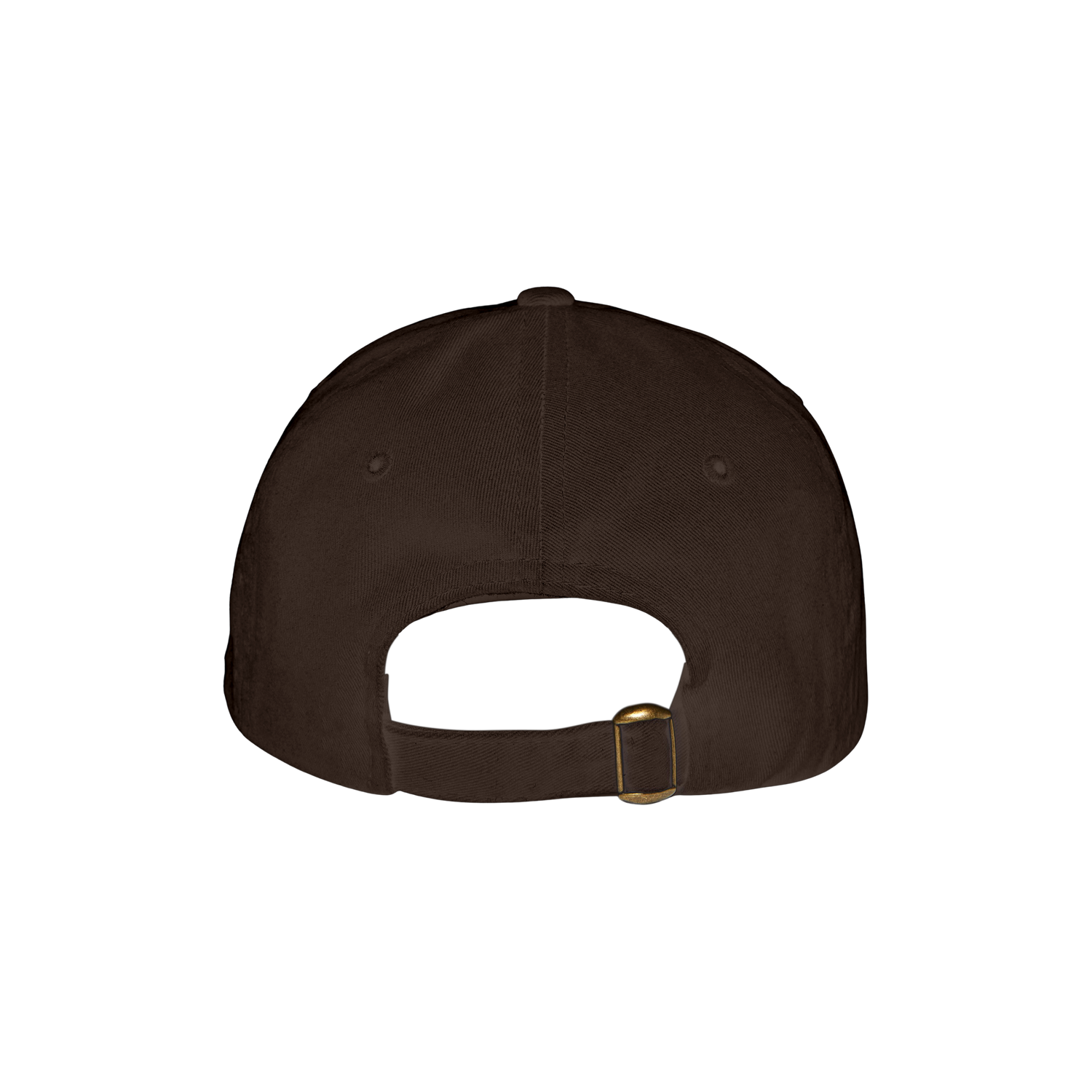 VIRGINIA EMBROIDERED DAD HAT (BROWN)