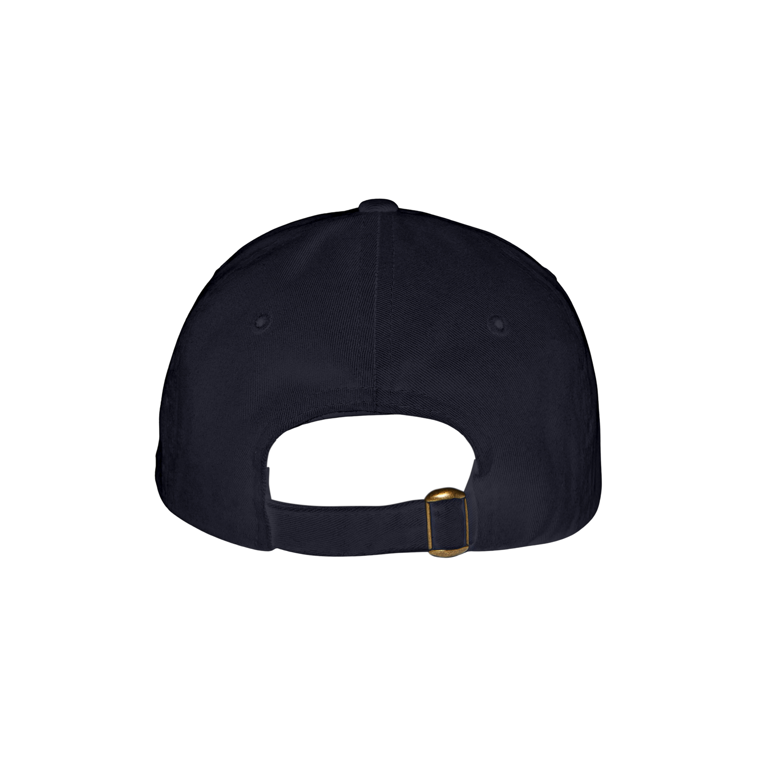 VIRGINIA EMBROIDERED DAD HAT (NAVY)