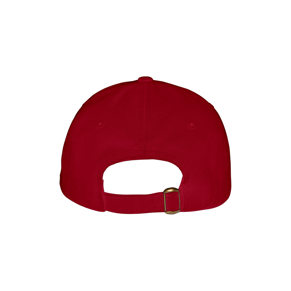 VIRGINIA EMBROIDERED DAD HAT (RED) - Image 2