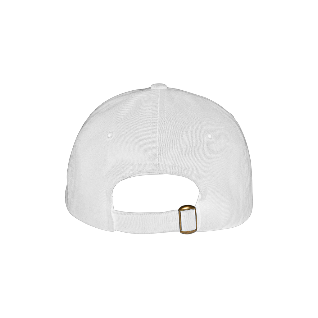 VIRGINIA EMBROIDERED DAD HAT (WHITE)
