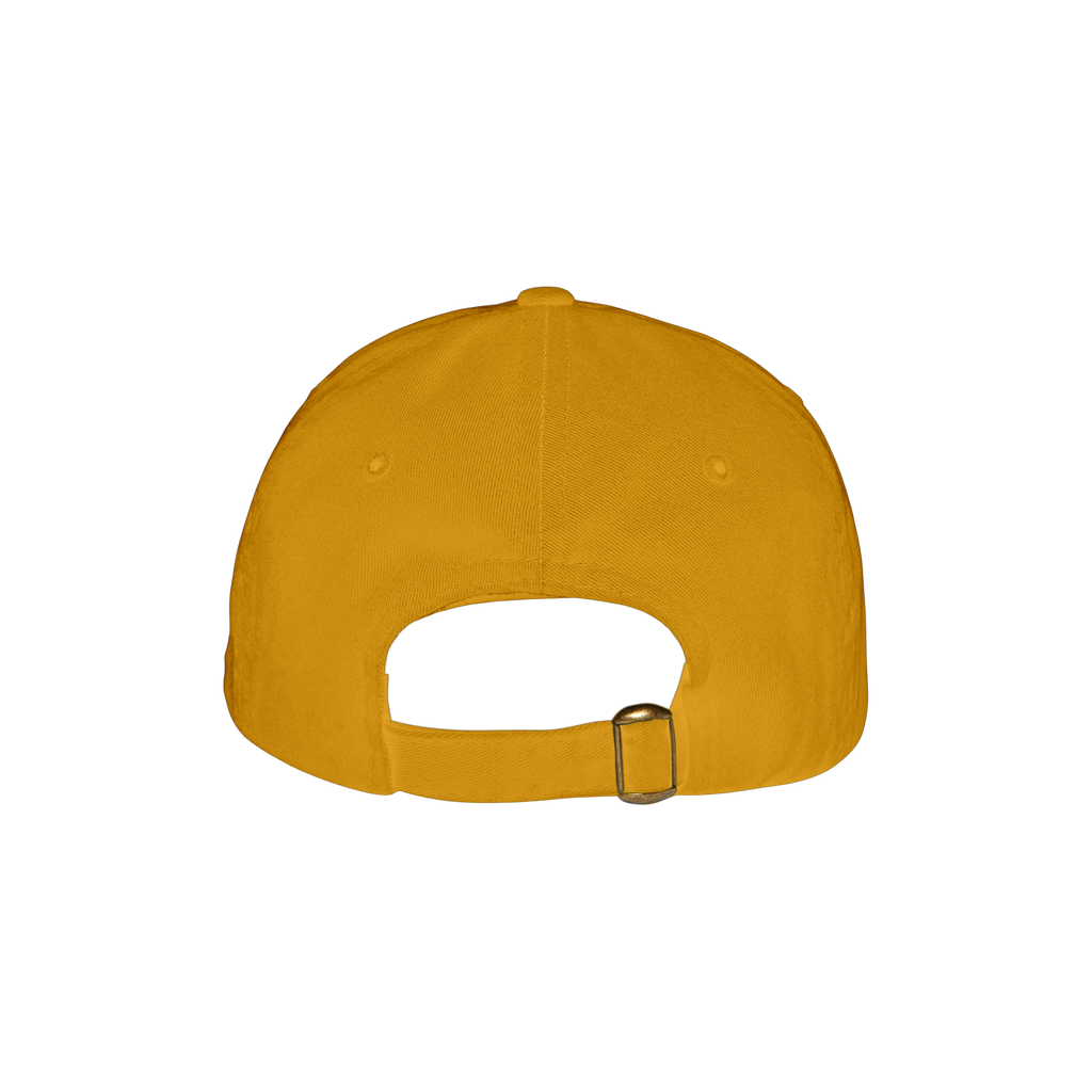 VIRGINIA EMBROIDERED DAD HAT (YELLOW)