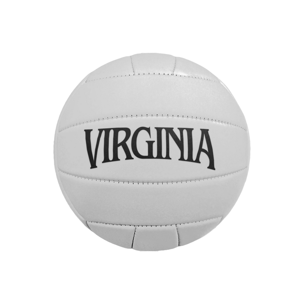 VIRGINIA VOLLEYBALL